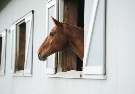 Why Outdoor Structures Are a Valuable Investment for Any Property