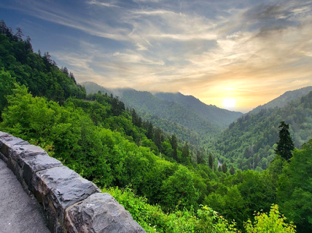 Off-Roading 101: Gear Up for Adventure in the Smokies