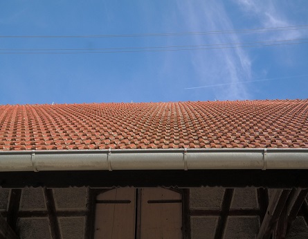 The Role of Gutters in Protecting Your Roof in Alexandria