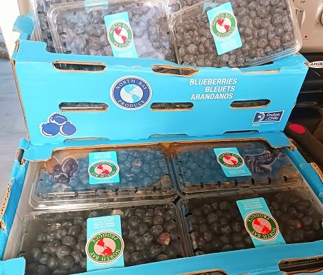 Farmer’s Market – HUGE Deal on Fresh Blueberries!