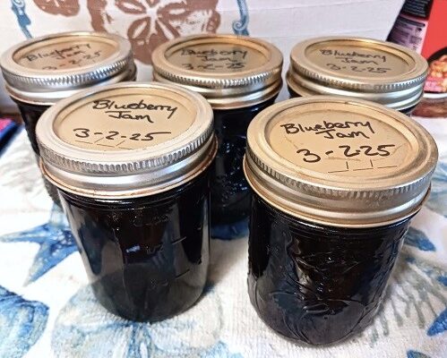 Canning Blueberry Jam with Liquid Pectin Recipe