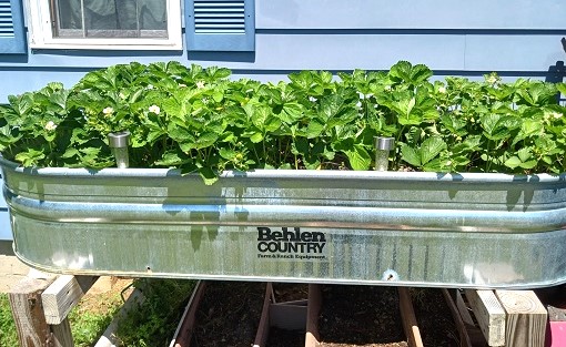 Galvanized Metal Raised Garden Planter Boxes