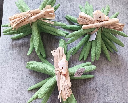 Bargain Deals on Coastal Beach Home Decor and Craft Supplies