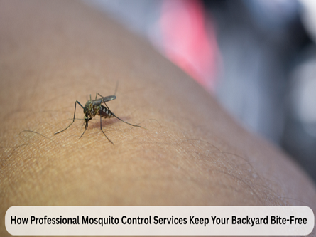 How Professional Mosquito Control Services Keep Your Backyard Bite-Free