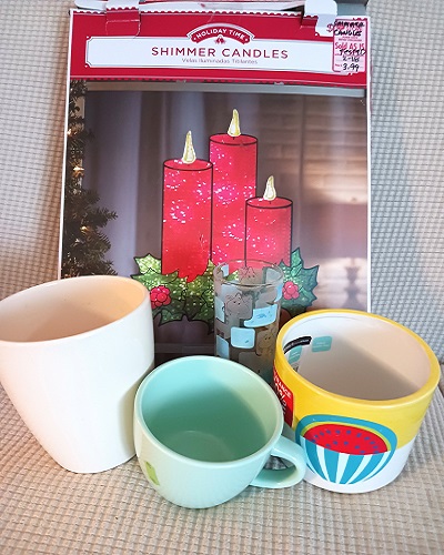 Shopping Thrift Stores for Houseplant Containers and Growing Pots