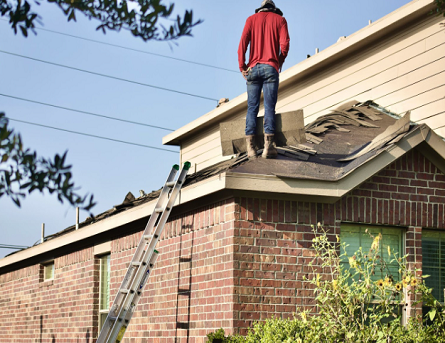 Small Business Owner's Guide 5 Roof Problems That Could Shut Down Your Operations
