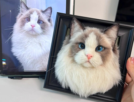 Stuffed Animal Cats That Look Real vs Regular Plush Toys: What’s the Difference?