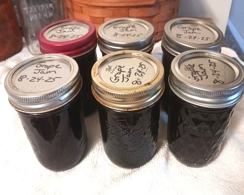 Old Fashion Concord Grape Jam Canning Recipe