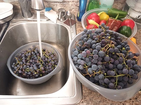 How to Wash and Clean Fresh Grapes