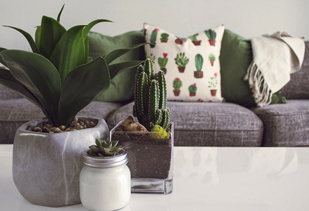 Simple Upgrades That Make Your Home More Livable