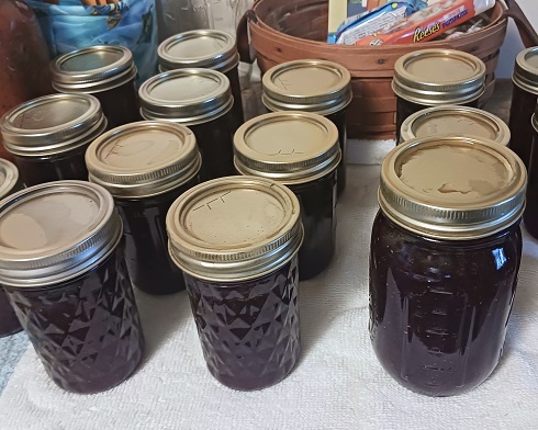 Strawberry Jam Home Canning Recipe