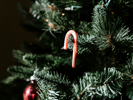 The Best Christmas Tree Store in Los Angeles for Luxury Holiday Decor