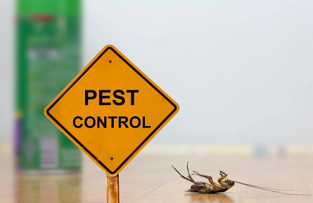 The Importance of Pest Control in Your Home Protection Plan