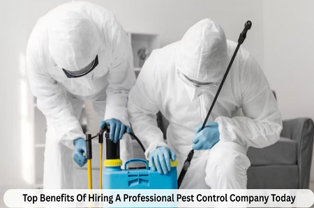 Top Benefits of Hiring a Professional Pest Control Company Today