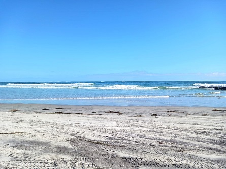 Why Family Travelers are Falling in Love with Ocean City Stays