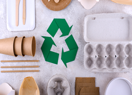 How to Choose Eco-Friendly Furniture for Sustainable Homes?