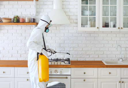 Eco-Friendly Pest Control Solutions for Modern Urban Lifestyles