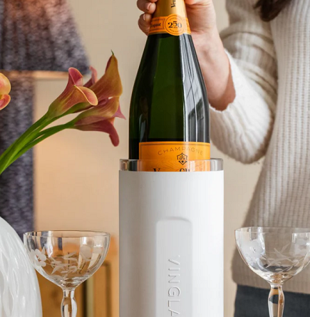 How to Choose the Perfect Wine Chiller for Your Home