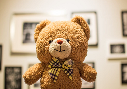 How to Create Family Memories with Plush Toys