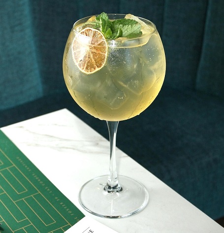 Gin and Tonic Cocktail Recipe