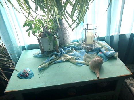 A Kitty Cat Will Play When the Owners are Away