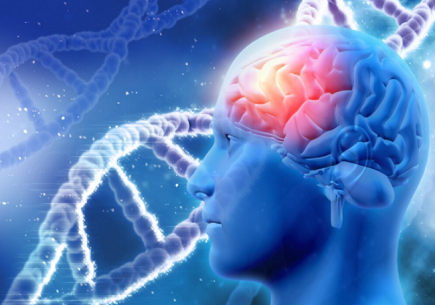 Neuro Gum Reviews, Benefits, & Where to Buy