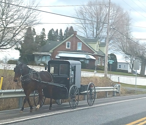 Amish Horse and Buggy in Lancaster County