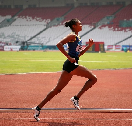 Neuro Gum: Usage & Where to Buy