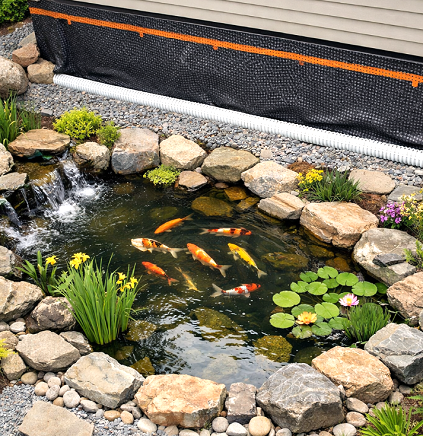 The Pond Owner's Guide to Foundation Integrity: Why Backyard Water Features Demand Professional Basement Waterproofing