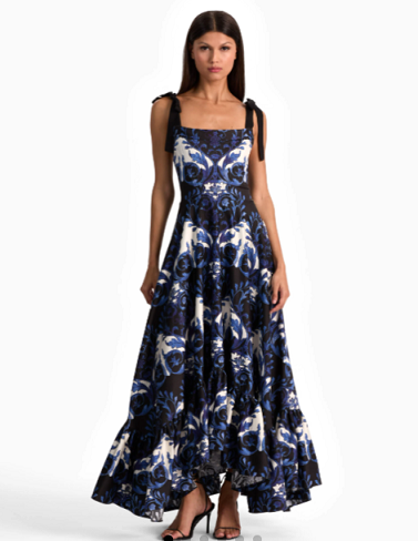 Designer Maxi Dress Styling for Weddings, Galas, and Celebrations