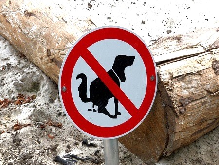 Be A Good Neighbor Please Clean Up After Your Dog