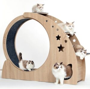 5-in-1 Indoor Cat Exercise Wheel Treadmill