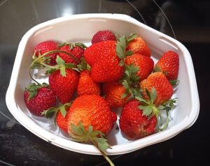 Container Gardening - Growing Strawberries