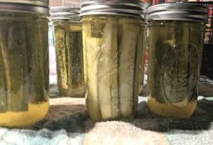 Dill Pickles Home Canning Recipe