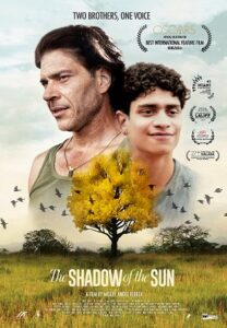 The Shadow of the Sun