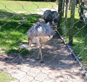 Cape May County Zoo in New Jersey