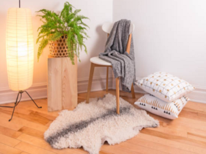 Fashionable Rugs for Your Home: Sheepskin for Modern Living Rooms