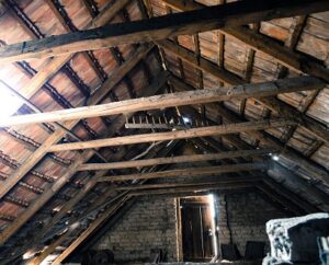 Why Attic Bat Exclusion Requires More Than Simply Sealing a Hole