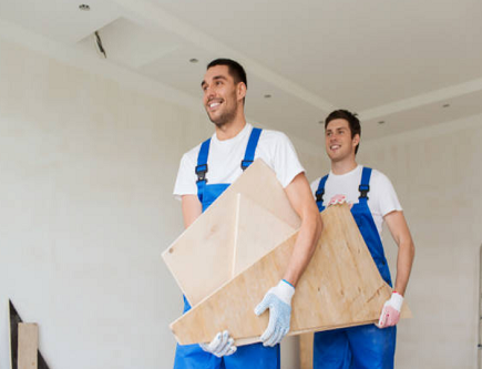 professional junk trash removal